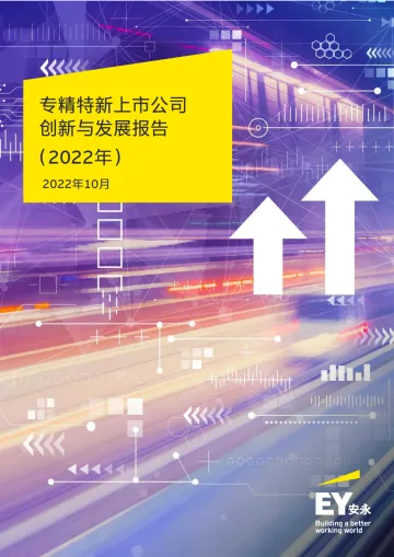 2022年专精特新上市公司发展报告(分析了719家上市公司的数据)-安永-2022.10-49页