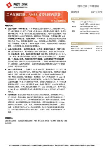 11月小品种月报:二永显著回调,RMBS成交创年内新高-20221207-东方证券-22页