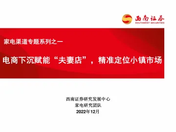 家电行业渠道专题系列之一:电商下沉赋能“夫妻店”,精准定位小镇市场-20221208-西南证券-25页