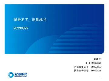 僵持不下，进退维谷-20230822-宏源期货-25页