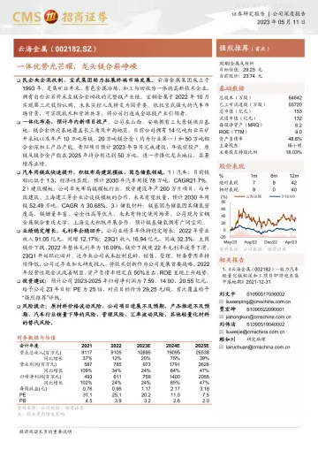招商证券-云海金属(002182)一体优势光芒耀,龙头镁合崭峥嵘-230511