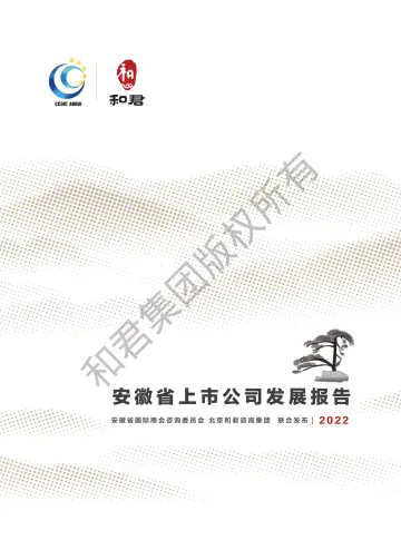 和君咨询-安徽省上市公司发展报告(2022年)-78页
