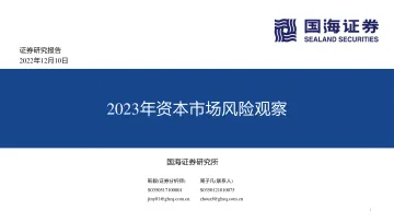 2023年资本市场风险观察-20221210-国海证券-43页