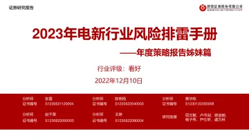 2023年电新行业风险排雷手册:年度策略报告姊妹篇-20221210-浙商证券-56页