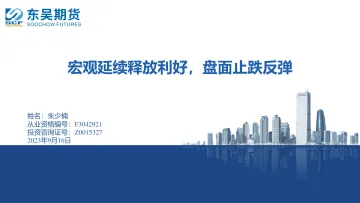 宏观延续释放利好,盘面止跌反弹-20230916-东吴期货-20页
