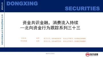 北向资金行为跟踪系列三十三:资金共识金融,消费流入持续-20221129-东兴证券-26页
