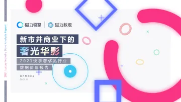 【磁力数观】2021快手奢侈品行业数据价值报告v1.2