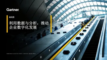 Gartner-利用数据与分析,推动企业数字化发展-13页