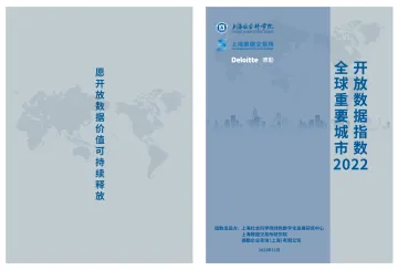 2022全球重要城市开放数据指数-11页