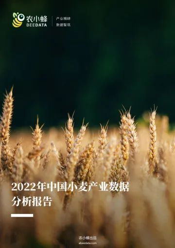 农小蜂-2022年中国小麦产业数据分析报告-31页