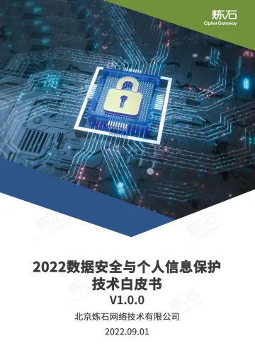 炼石-2022数据安全与个人信息保护技术白皮书-2022.09-522页-WN9