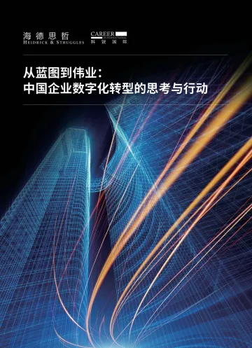 从蓝图到伟业: 中国企业数字化转型的思考与行动-46页