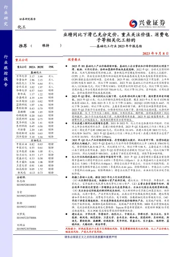 基础化工行业2023年中报总结:业绩同比下滑已充分定价,重点关注价值、消费电子等相关化工标的-20230908-兴业证券-76页