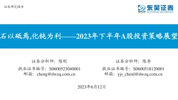 东吴证券-2023年下半年A股投资策略展望:石以砥焉,化钝为利-230612