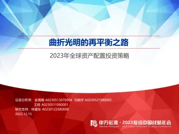 2023年全球资产配置投资策略:曲折光明的再平衡之路-20221215-申万宏源-86页