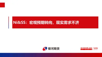 Ni&SS:宏观预期转向,现实需求不济-20221114-银河期货-21页