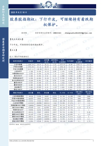 股票股指期权:下行升波,可继续持有看跌期权保护-20230818-国泰君安期货-15页
