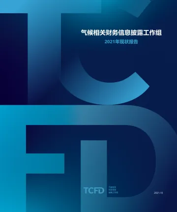 2021年TCFD现状报告-118页