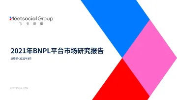 2021年BNPL平台市场研究报告-38页