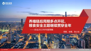 农业2023年年度策略：养殖链后周期多点开花，粮食安全主题继续贯穿全年-20221228-民生证券-48页