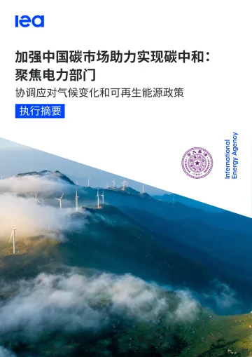 加强中国碳市场助力实现碳中和:聚焦电力部门(中文摘要)-15页