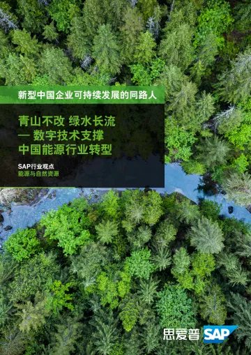 SAP+数字技术支持能源行业低碳转型白皮书(中文)-86页-WN8