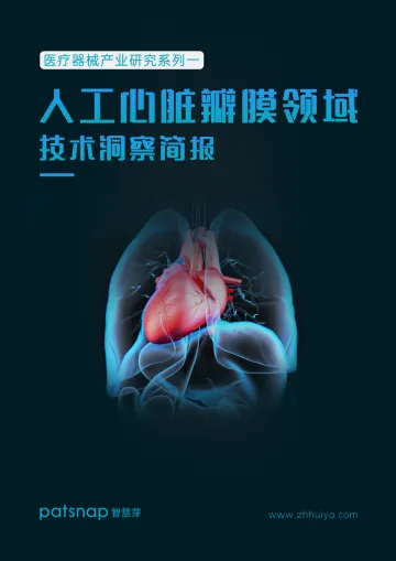 医疗器械产业研究系列一——人工心脏瓣膜领域技术洞察简报-智慧芽-15页