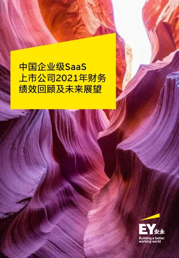 《中国企业级SaaS上市公司2021年财务绩效回顾及未来展望》-20页
