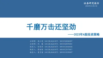 2023年A股投资策略：千磨万击还坚劲-20221202-华安证券-80页