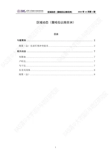 2022年12月第一期《区域动态》撒哈拉以南非洲地区-8页