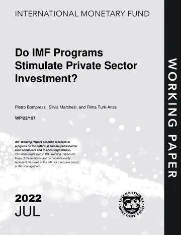 IMF-国际货币基金组织的计划是否刺激了私营部门的投资？（英）-2022.7-50页