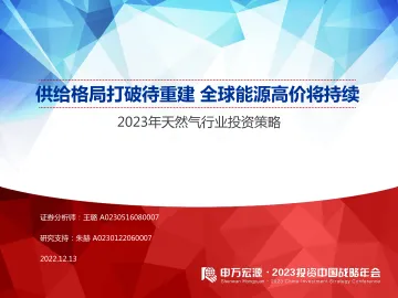 2023年天然气行业投资策略：供给格局打破待重建，全球能源高价将持续-20221213-申万宏源-58页