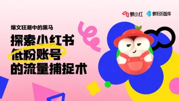 爆文狂潮中的黑马:探索小红书低粉账号的流量捕捉术-蝉小红&蝉妈妈-2023-34页