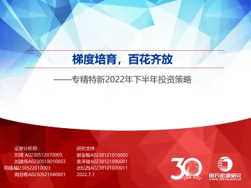 专精特新2022年下半年投资策略: 梯度培育,百花齐放-20220701-申万宏源-33页