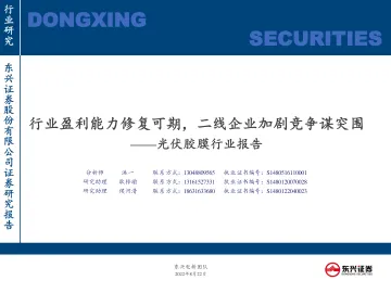 光伏胶膜行业报告:行业盈利能力修复可期,二线企业加剧竞争谋突围-20220822-东兴证券-24页