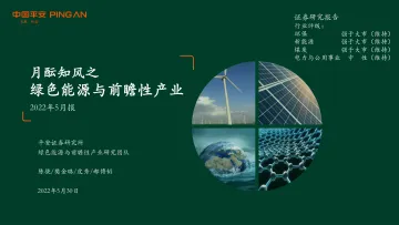 月酝知风之绿色能源与前瞻性产业2022年5月报-20220530-平安证券-46页