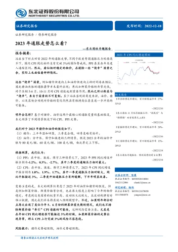 专题报告:2023年通胀走势怎么看?-20221218-东北证券-15页