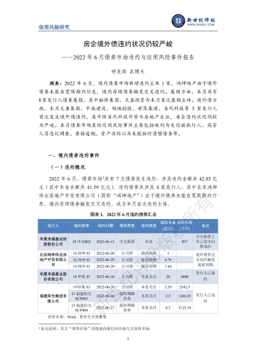 新世纪评级-房企境外债违约状况仍较严峻——2022年6月债券市场违约与信用风险事件报告-8页