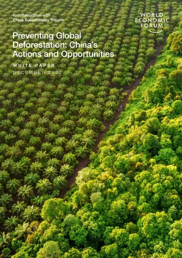 世界经济论坛-防止全球森林砍伐:中国的行动和机遇(英)-2022.12-42页