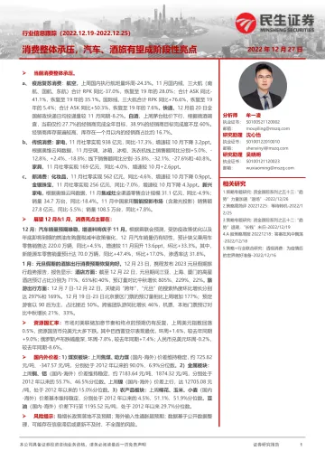 策略专题研究:行业信息跟踪,消费整体承压,汽车、酒旅有望成阶段性亮点-20221227-民生证券-29页