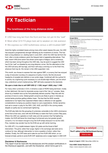 2022-10-20-HSBC-FX Tactician-The loneliness of the long-distance dollar-98817565