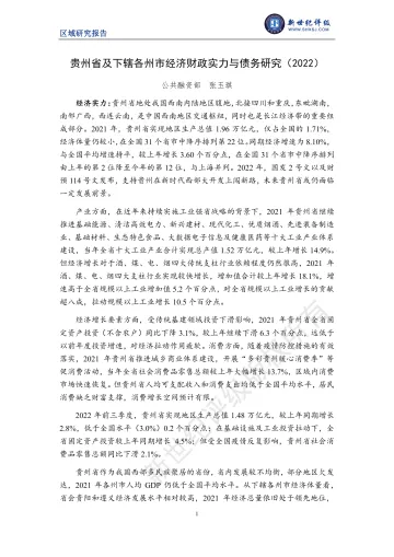 新世纪评级-贵州省及下辖各州市经济财政实力与债务研究(2022)-30页