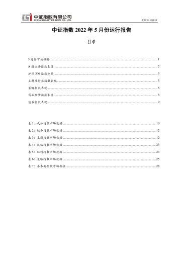 中证指数-2022年5月运行月报-31页