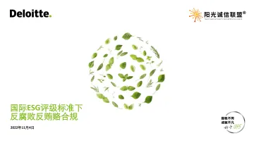 《国际ESG评级标准下反腐败反贿赂合规》-45页