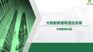 中源数聚-大数据看葡萄酒业发展-27页