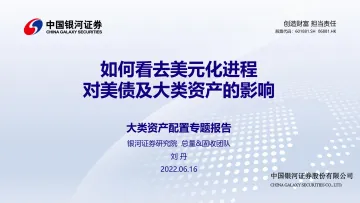 大类资产配置专题报告:如何看去美元化进程,对美债及大类资产的影响-20220616-银河证券-26页