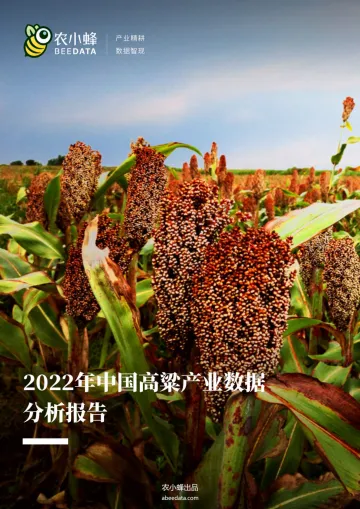2022年中国高粱产业数据分析报告-36页-WN9