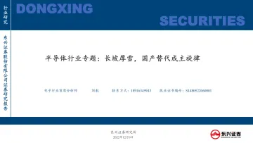 半导体行业专题:长坡厚雪,国产替代成主旋律-20221209-东兴证券-47页