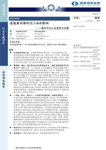 基础化工行业海内外化工品竞争力专题:高能源价格对化工品的影响-20220408-国泰君安-46页
