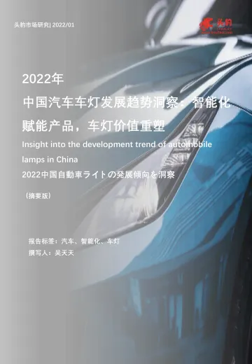2022年中国汽车车灯发展趋势洞察:智能化赋能产品,车灯价值重塑(摘要版)-2022.08-9页-WN8